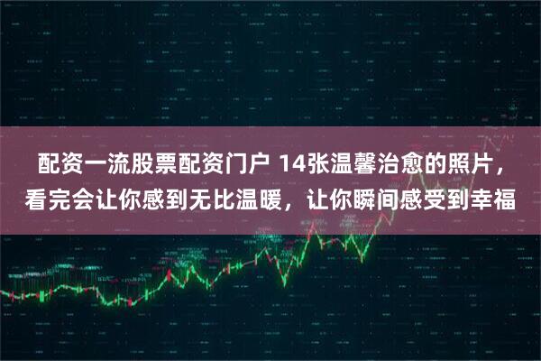 配资一流股票配资门户 14张温馨治愈的照片，看完会让你感到无比温暖，让你瞬间感受到幸福